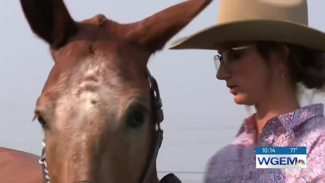 Clark County, Missouri, fair boasts new arena