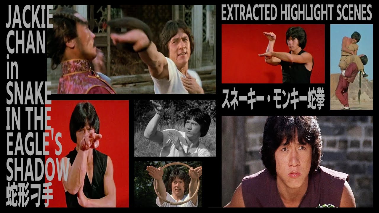 『スネーキー・モンキー蛇拳』 JACKIE CHAN in SNAKE IN THE EAGLE'S SHADOW EXTRACTED HIGHLIGHT SCENES　蛇形刁手