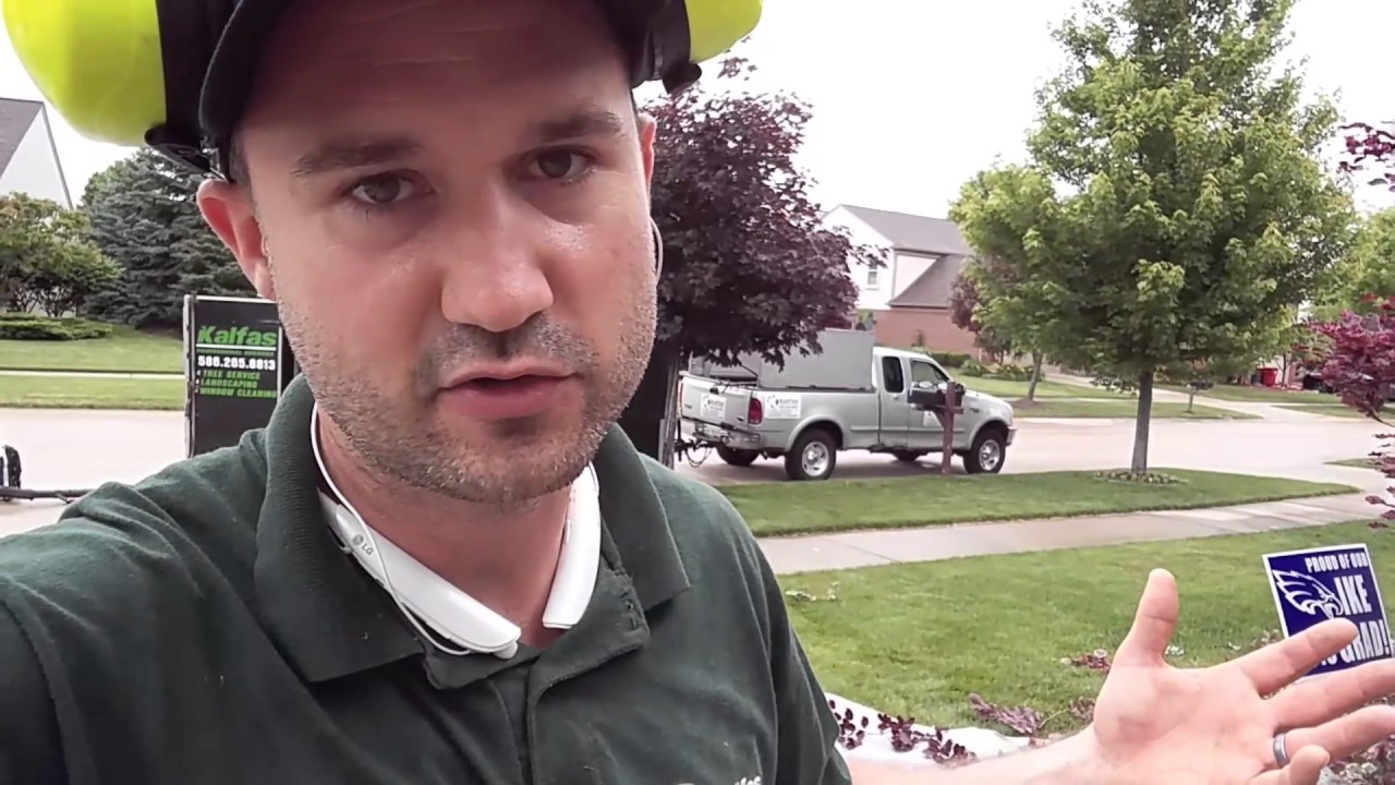 How to Make Extra Money Trimming Small Trees - $135 Landscaping & LawnCare Upsells
