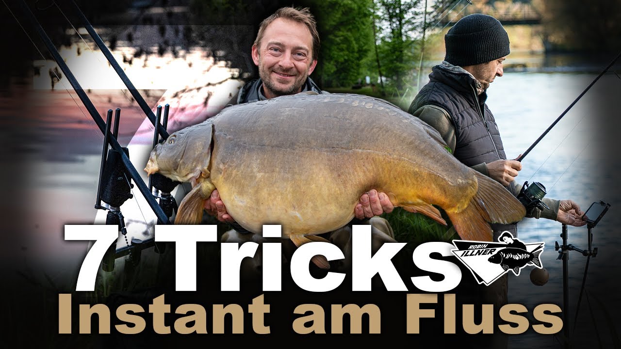 IN DIESEM FLUSS GIBT ES RIESENKARPFEN!- Karpfenangeln am Fluss