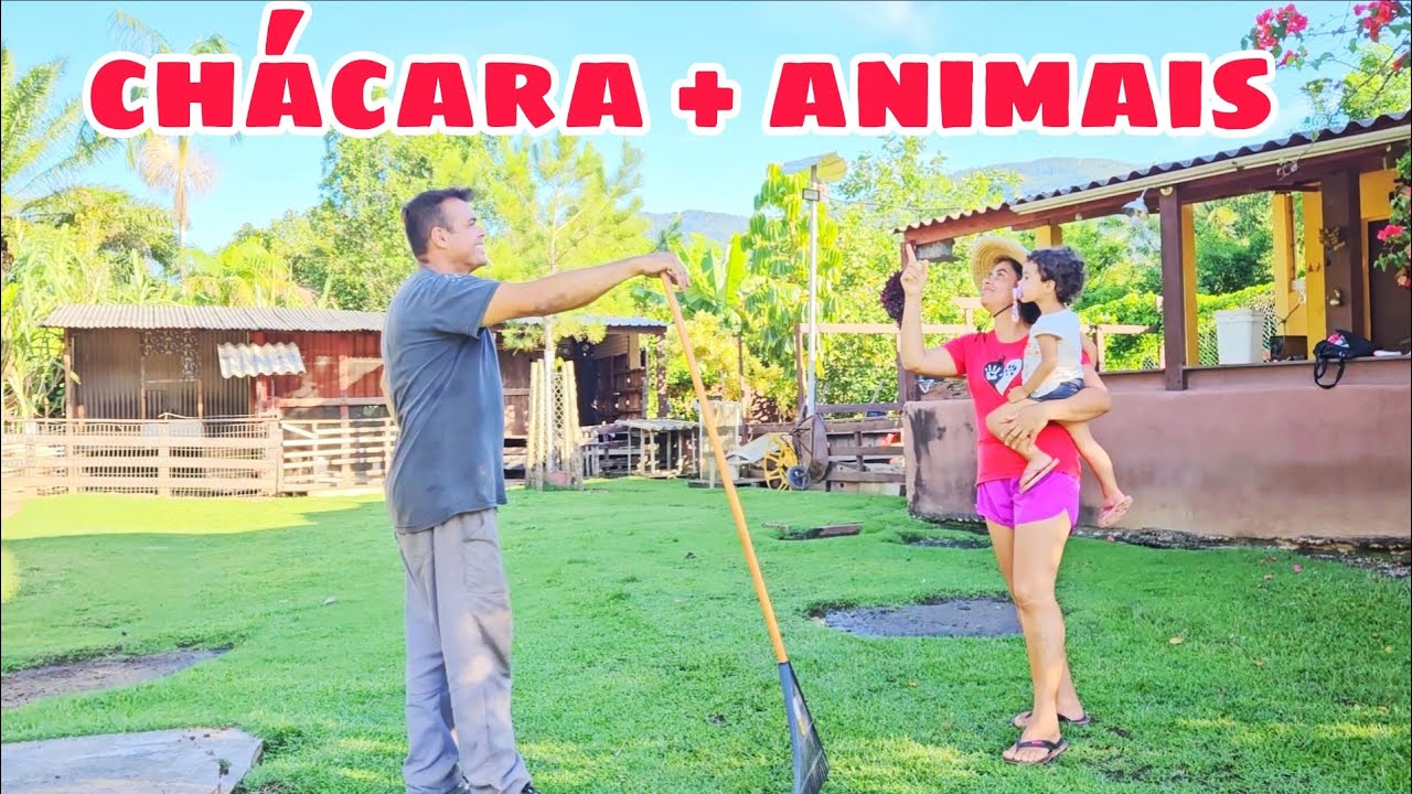 ACHAMOS ESSA CHACARA A VENDA PERFEITA PARA OS NOSSOS PLANOS AGORA VAI !!!