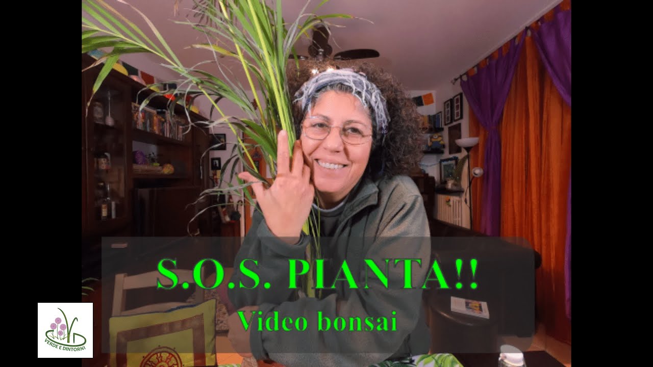S.O.S.  PIANTA