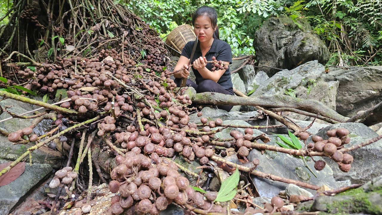225 days Harvesting agricultural products to sell - Building daily life