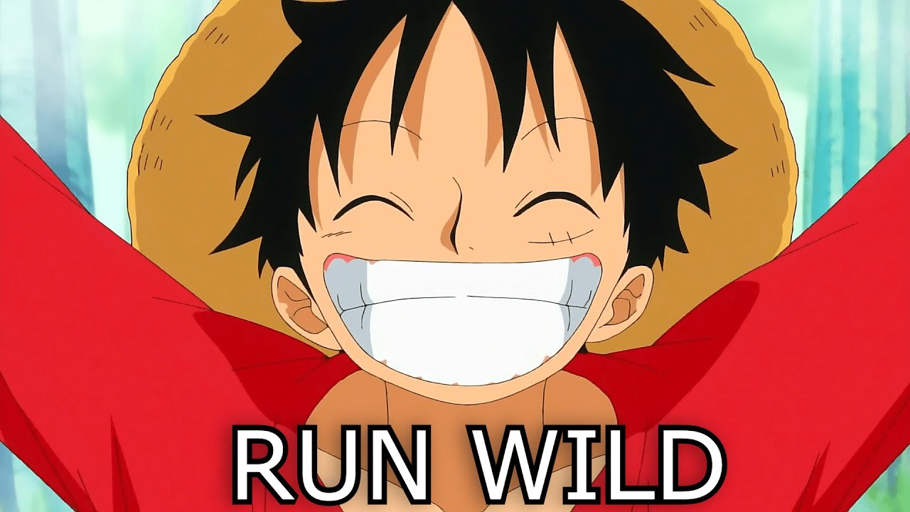 One Piece「AMV」- Run Wild