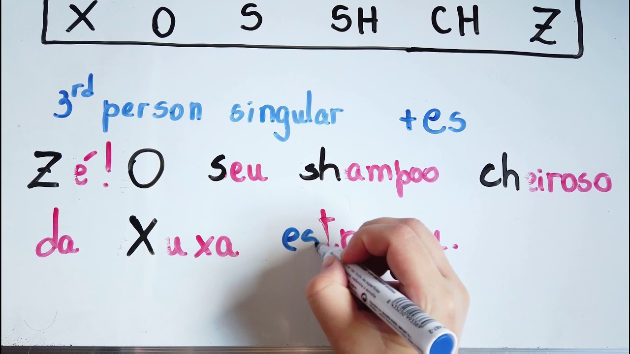 Simple Present  regra do -es e -ies | Aprenda inglês letra de música | What does the fox say
