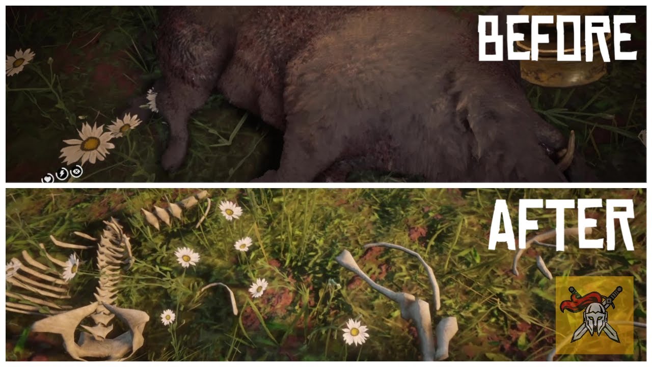 The insane details of the animals of RDR2! The A.I Of Rockstar Games
