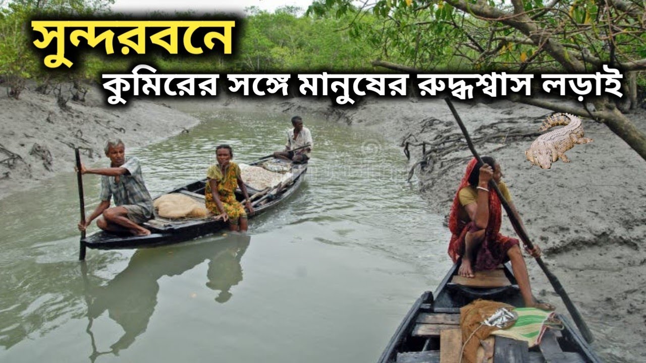 সুন্দরবনের কুমিরের সঙ্গে মানুষের রুদ্ধশ্বাস লড়াই||Humans fight crocodiles in the Sundarbans