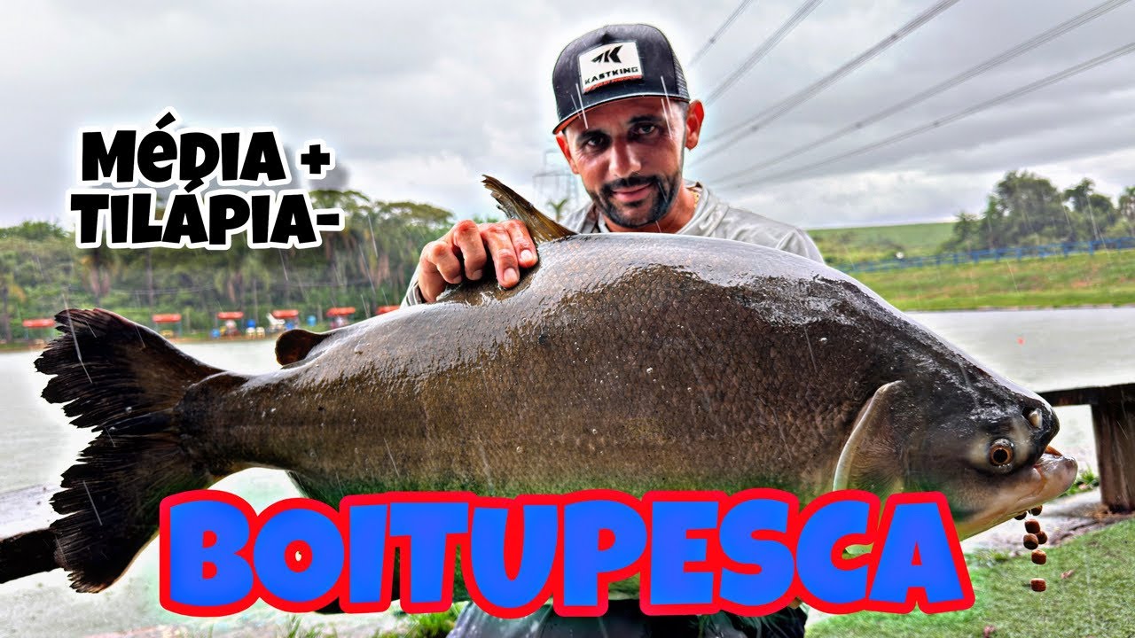 BOITUPESCA - as tilápias não tiveram vez! Média surpreendente do lago principal!