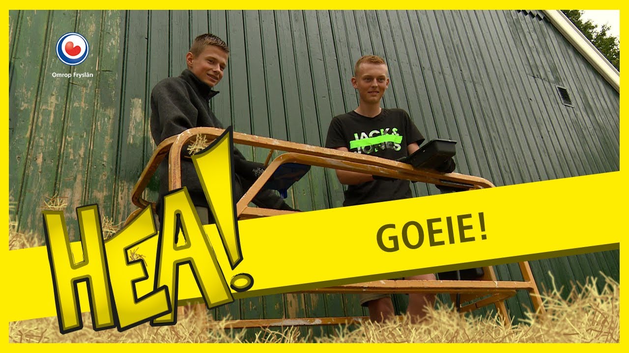 HEA! Koudumer schilders