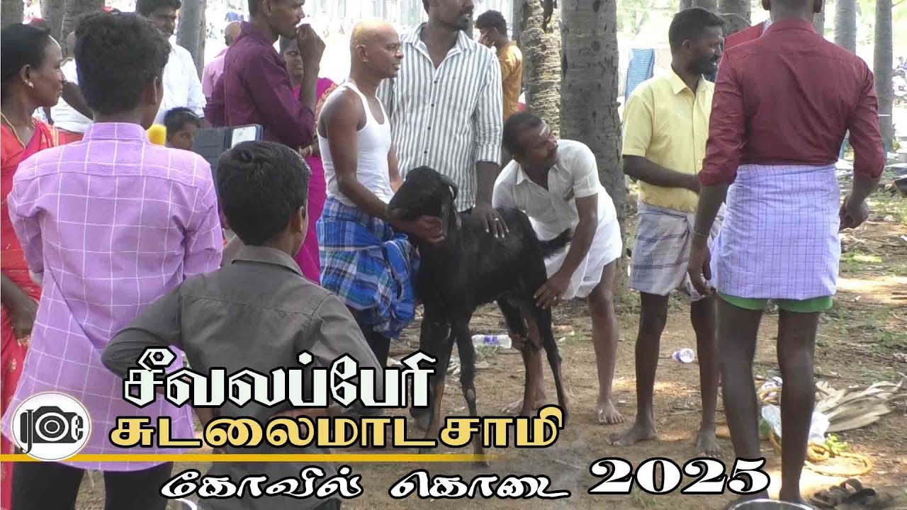 Seevalaperi Sudalai madasamy kovil kodai | சீவலப்பேரி சுடலை மாடசாமி கோவில் கொடை