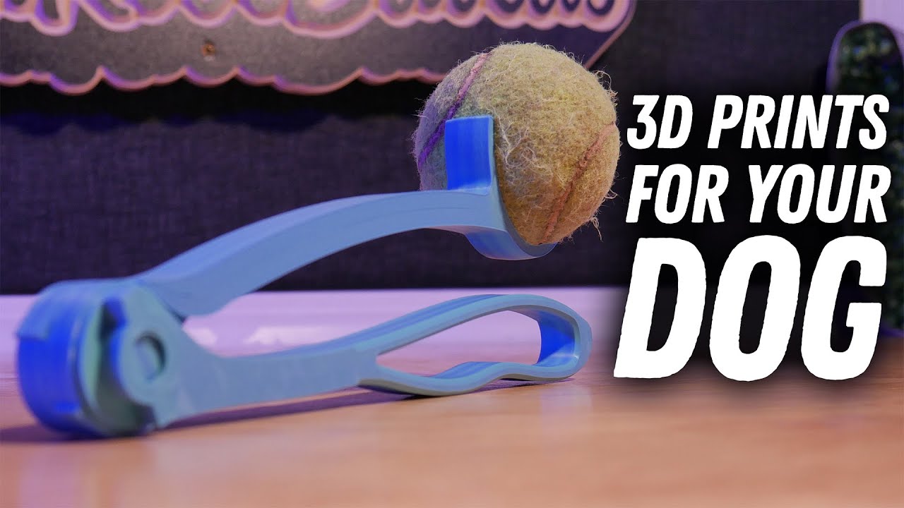 Cool 3D Prints For Pet Owners - Printed on the ELEGOO Centauri Carbon 3D Printer