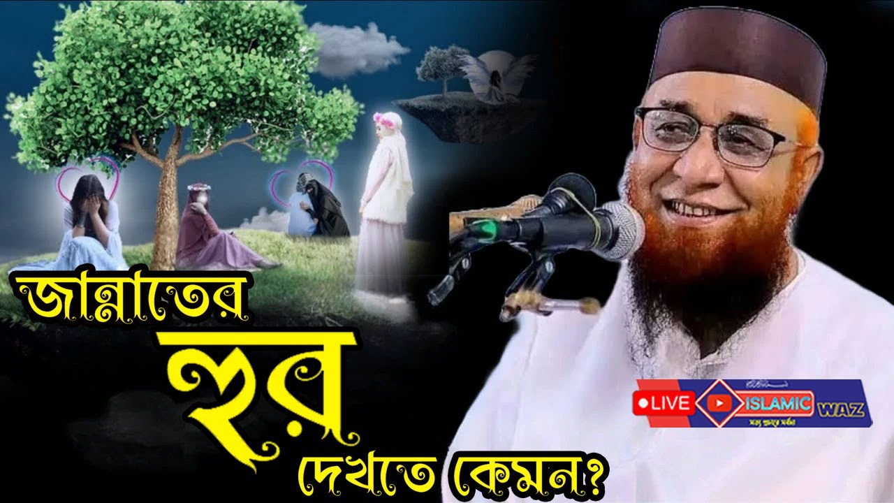 জান্নাতের হুর দেখতে কেমন | জান্নাতের ওয়াজ  | মুফতি নজরুল ইসলাম কাশেমী