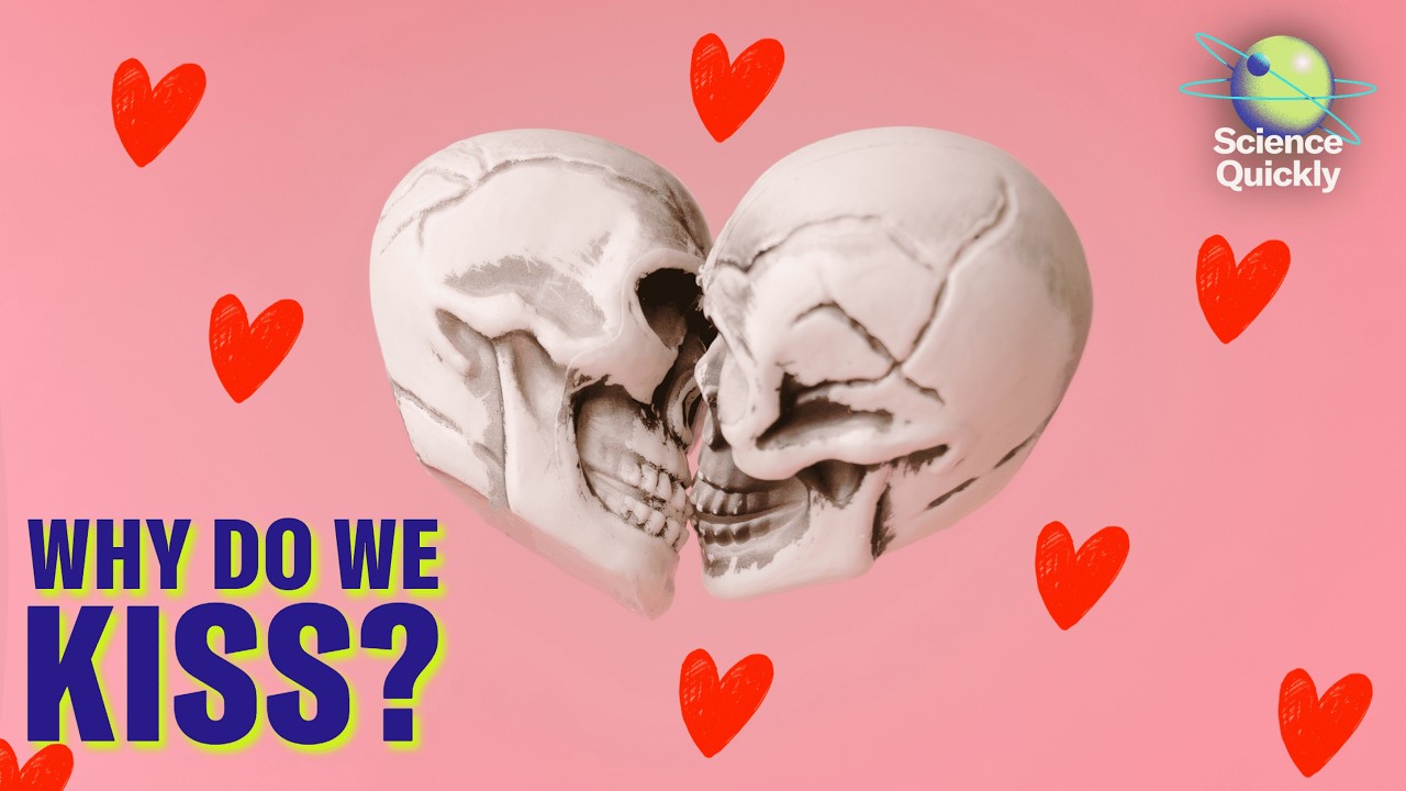 The evolutionary riddle of kissing | Science Quickly