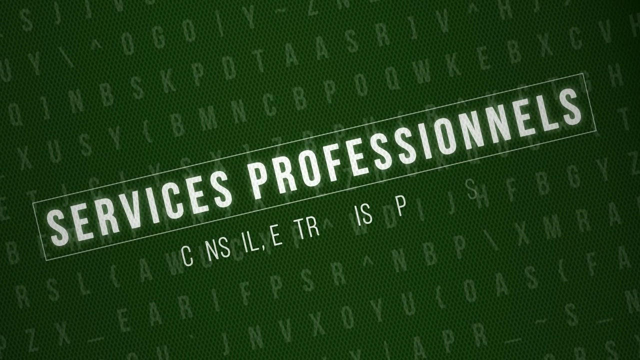 Services Professionnels