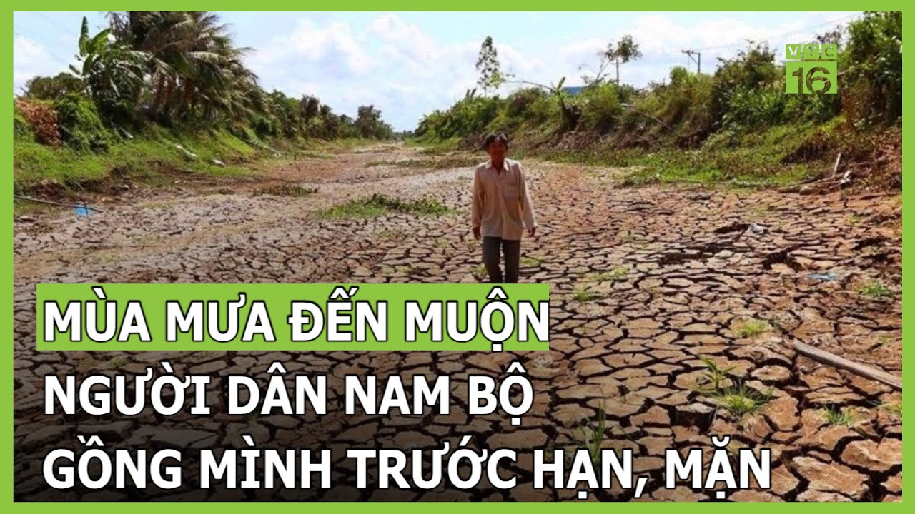 Hạn, mặn lịch sử, nắng nóng kéo dài, bao giờ mùa mưa đến với Nam Bộ? | VTC16
