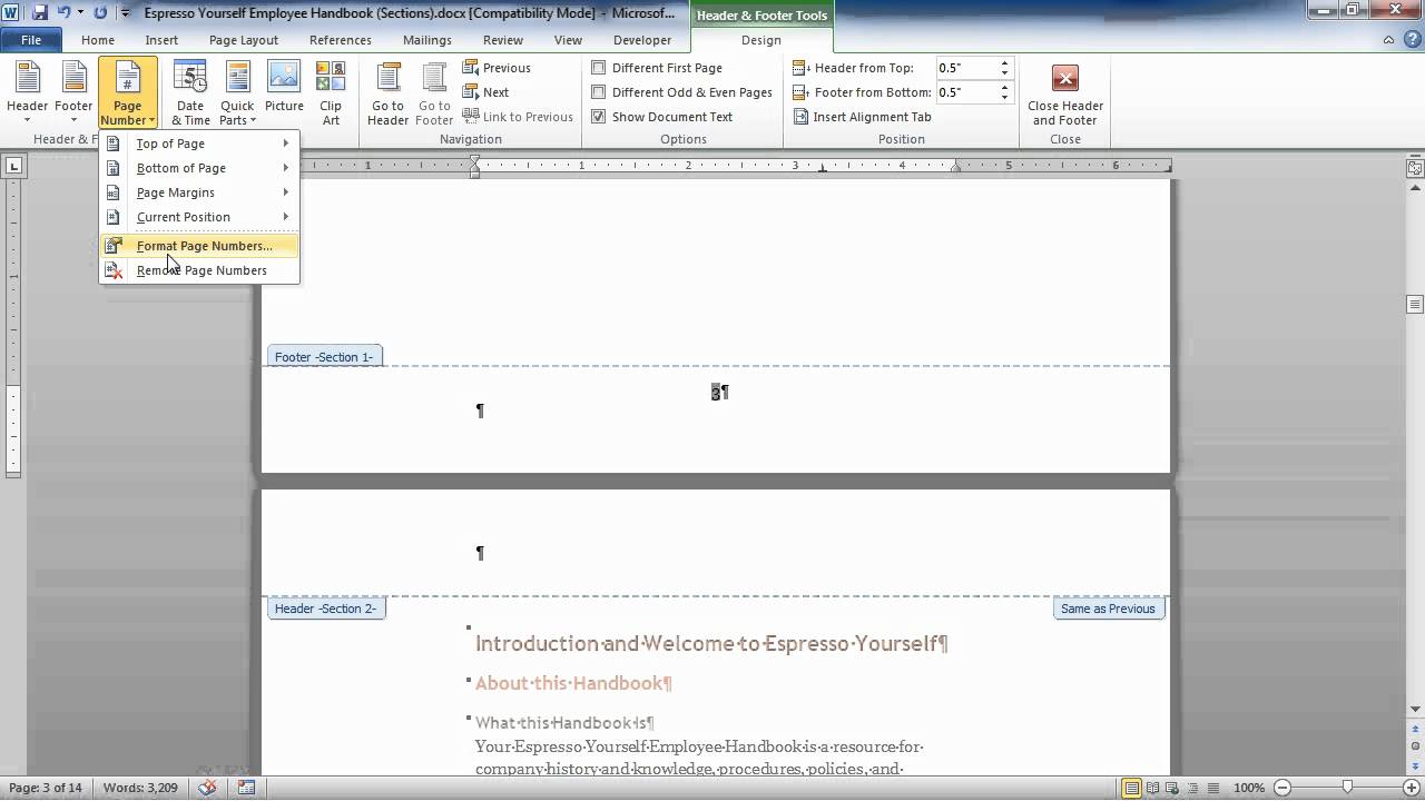 Headers, Footers and Page Numbers from Simple to Elaborate in Microsoft Word 2010
