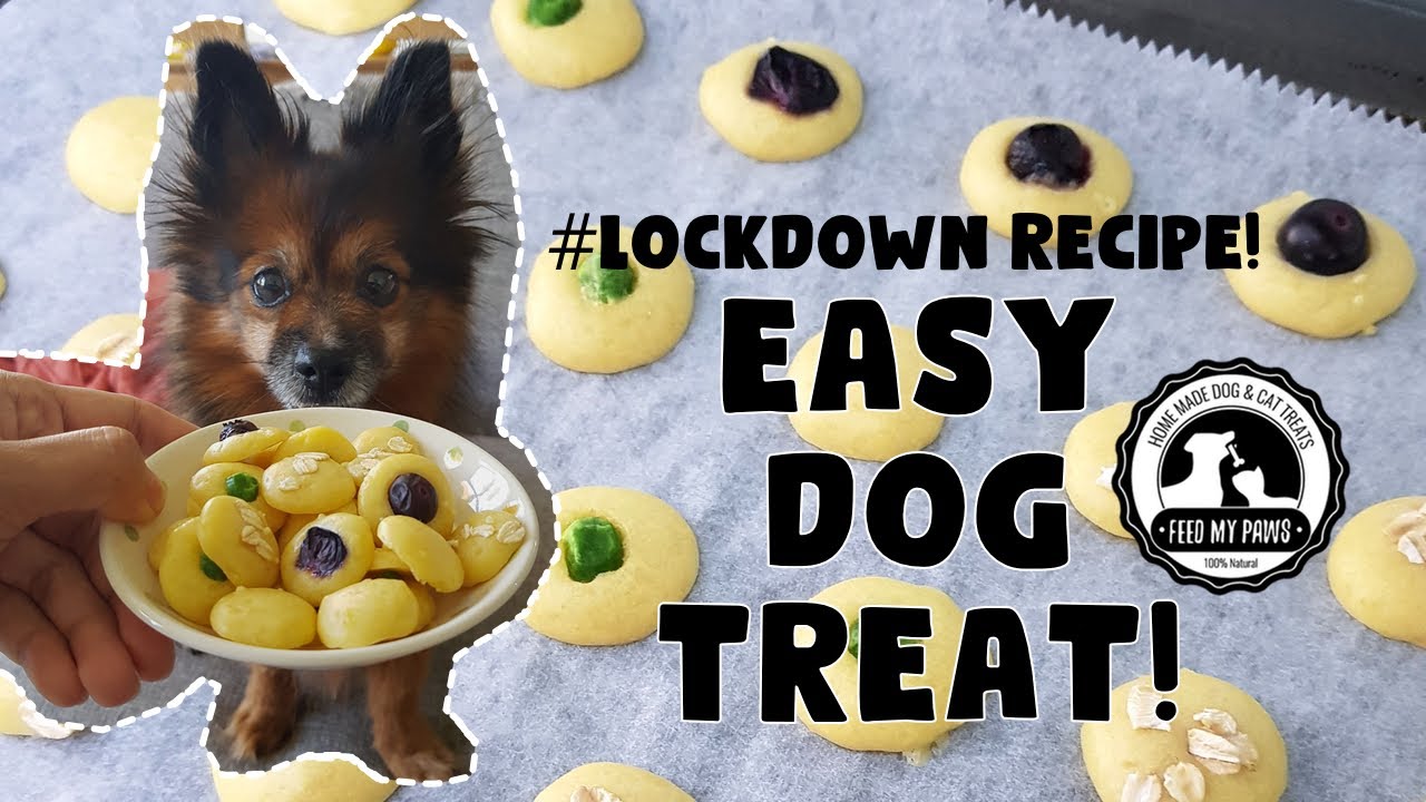 LOCKDOWN EASY DOG TREAT RECIPE! By Feed My Paws