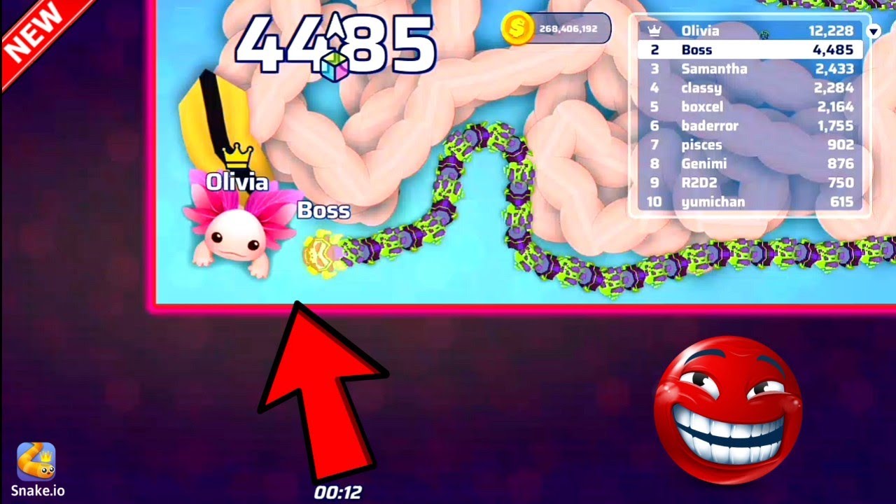 Pro Giant Snake Vs Troll Tiny Snake! Snake.Io 🐍