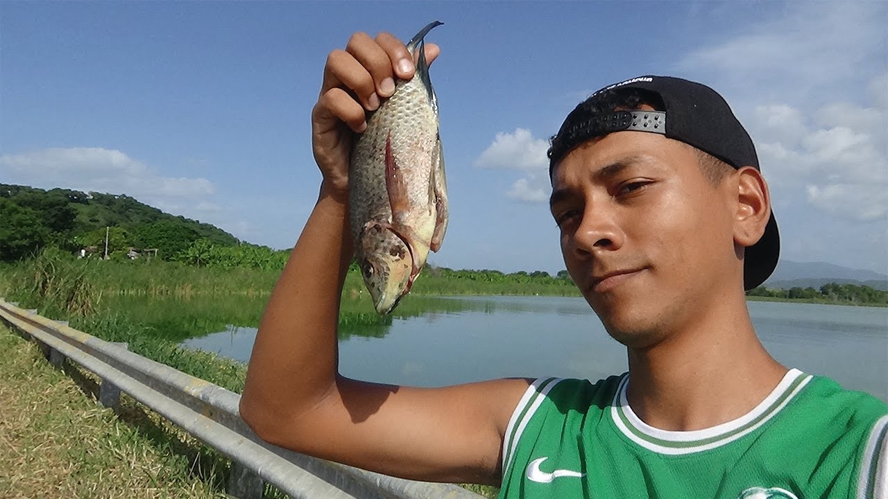 Probando los PESCADOS 