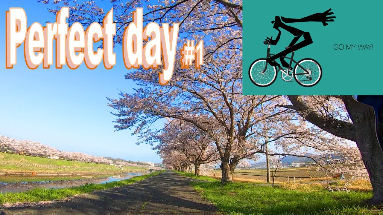 🚴🎵30min cycling in beautiful world #1🚴  [ Spring in Japan ]