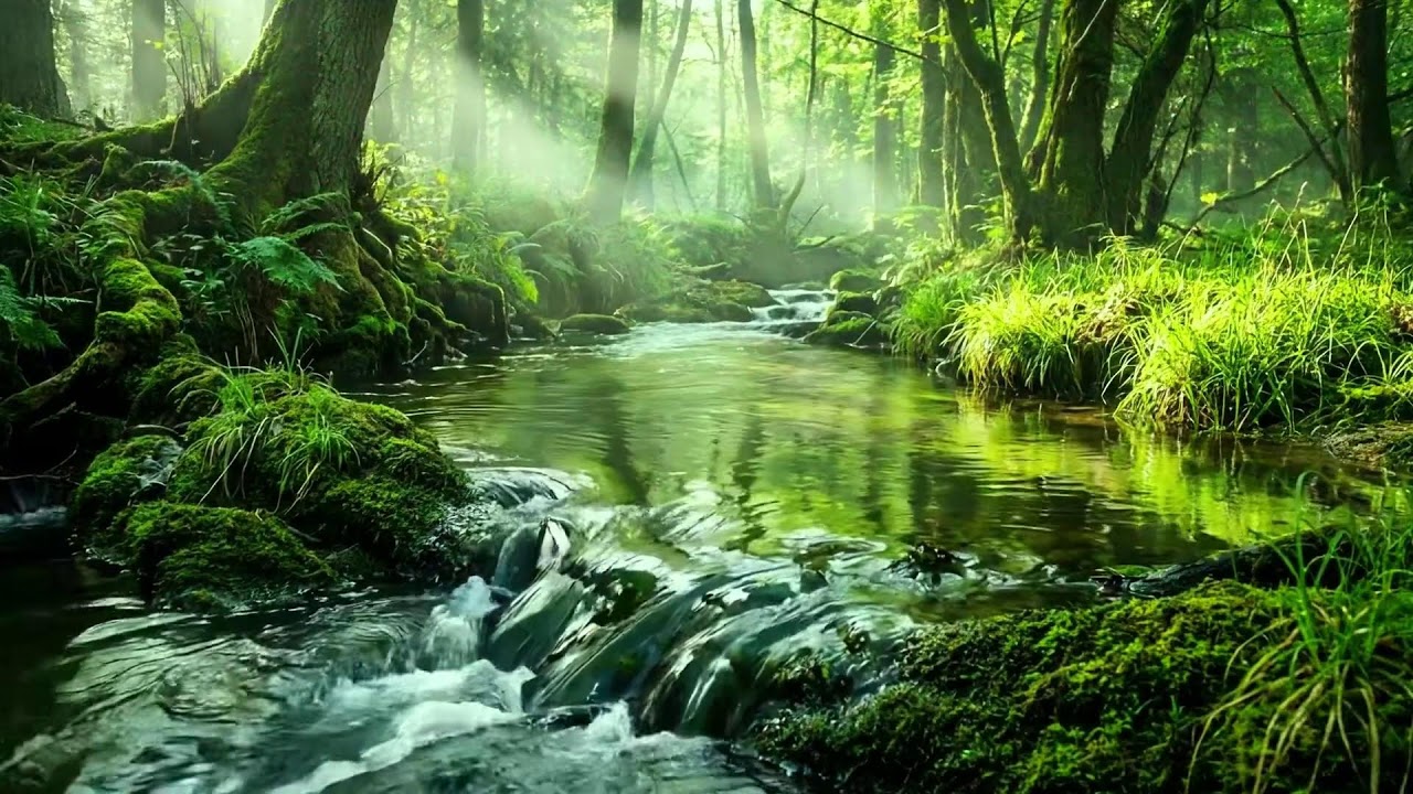 Relaxing Water Sounds with Birds Singing, Peaceful Nature Ambience for Study and Deep Meditation