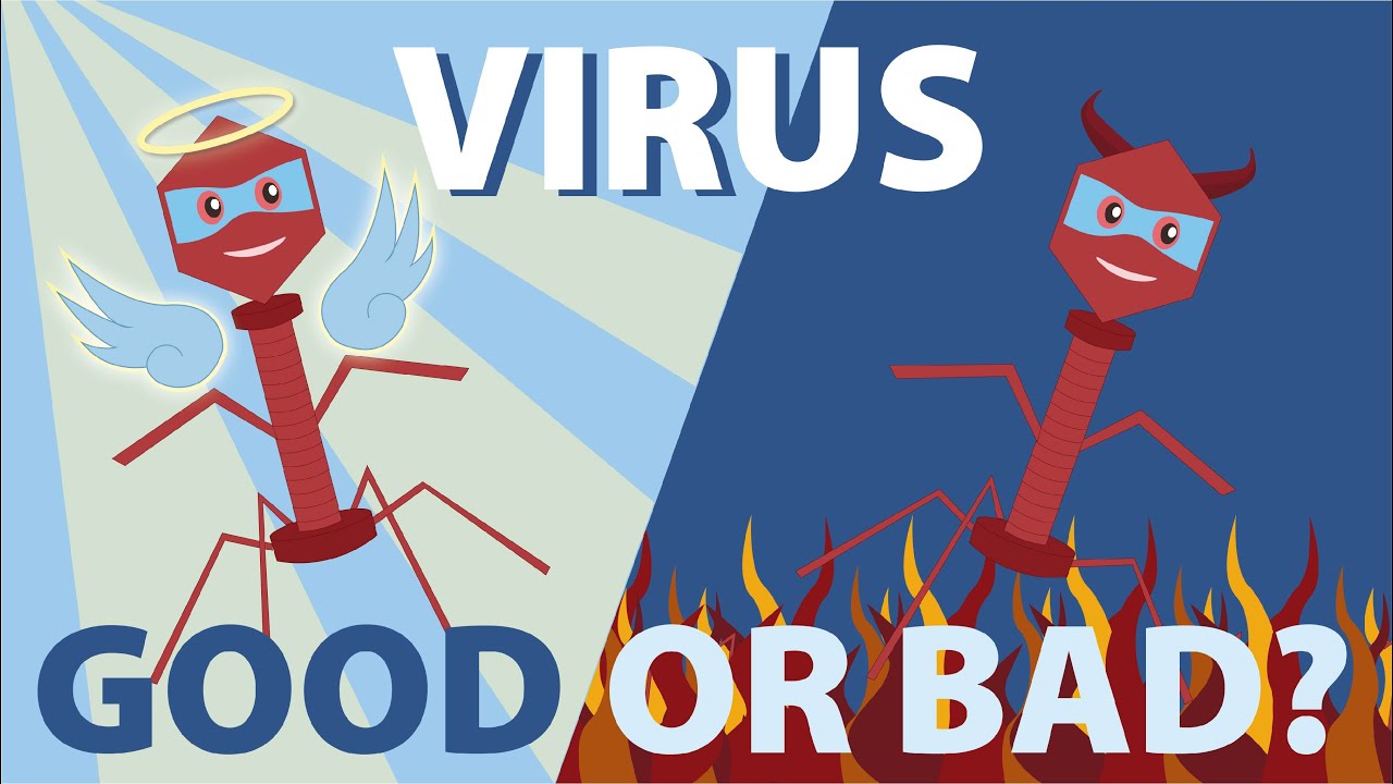 Viruses: Good or Bad?
