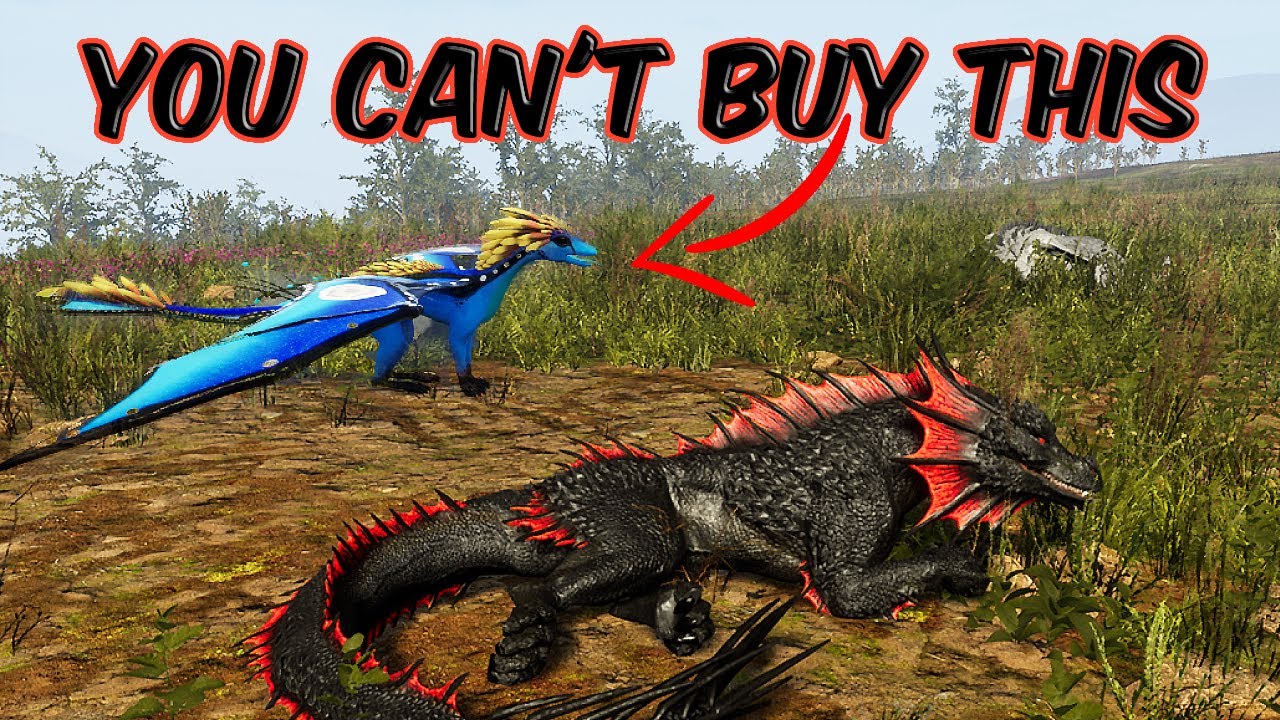 I am giving away a bio dragon here is how you can win!