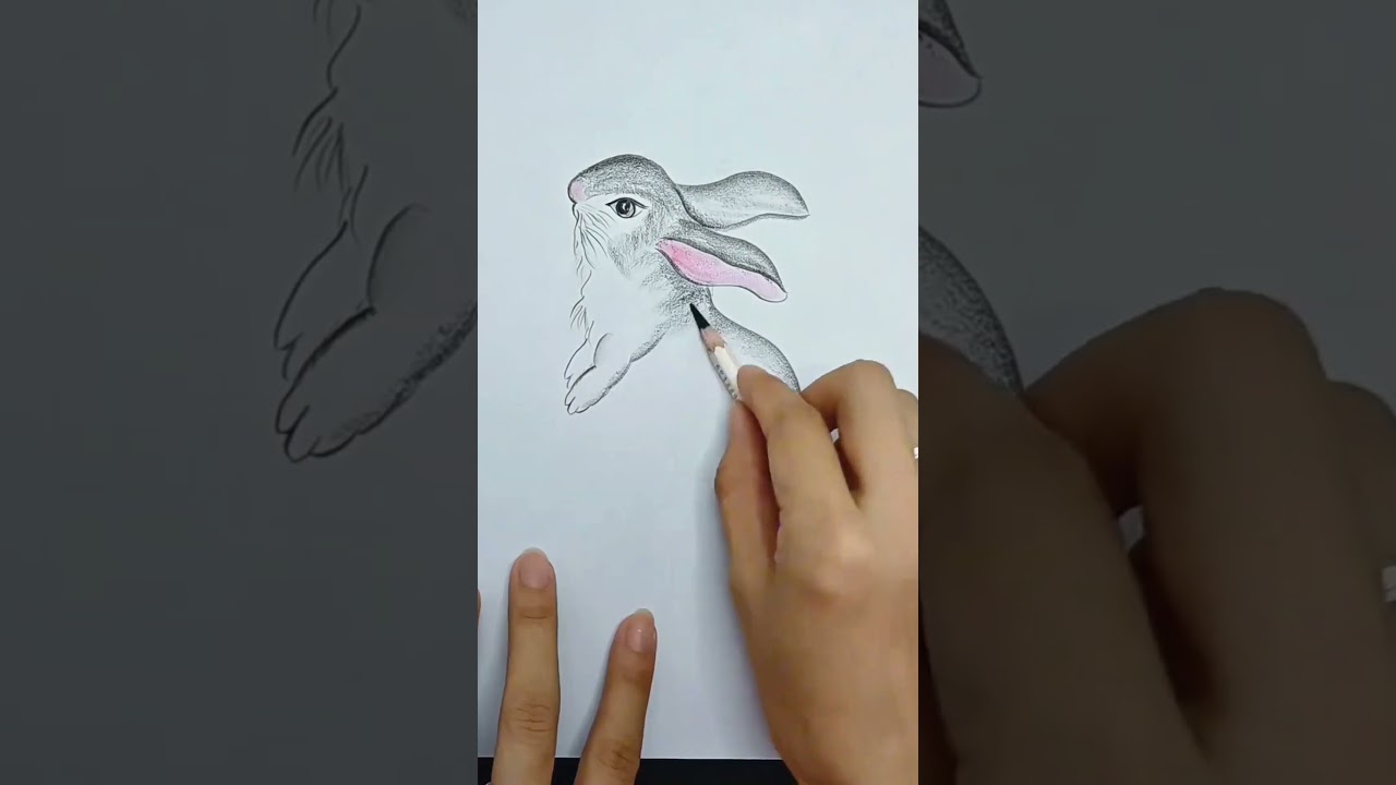How to draw a cute rabbit easy 🐇✍ Drawing for beginners #art #drawing #rabbit