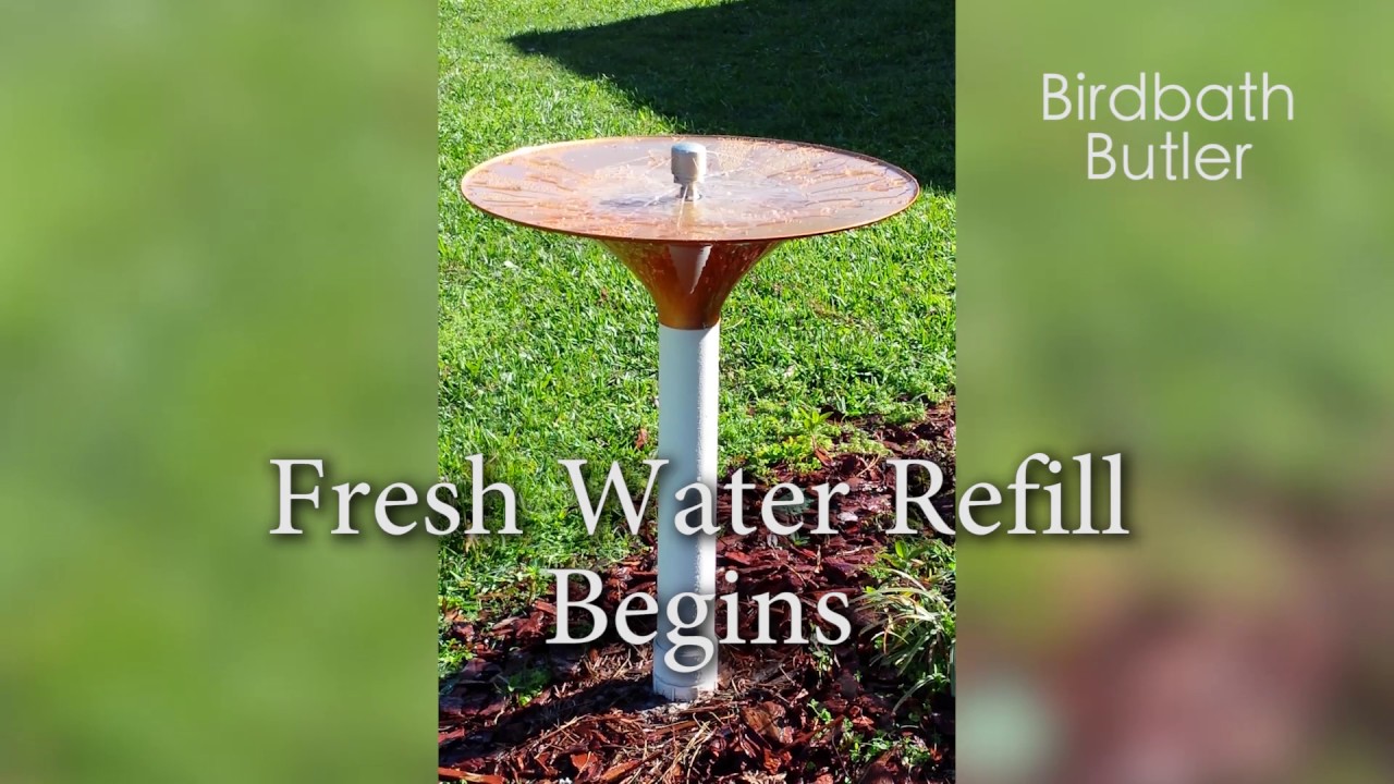 modern birdbath, modern bird bath, contemporary bird bath