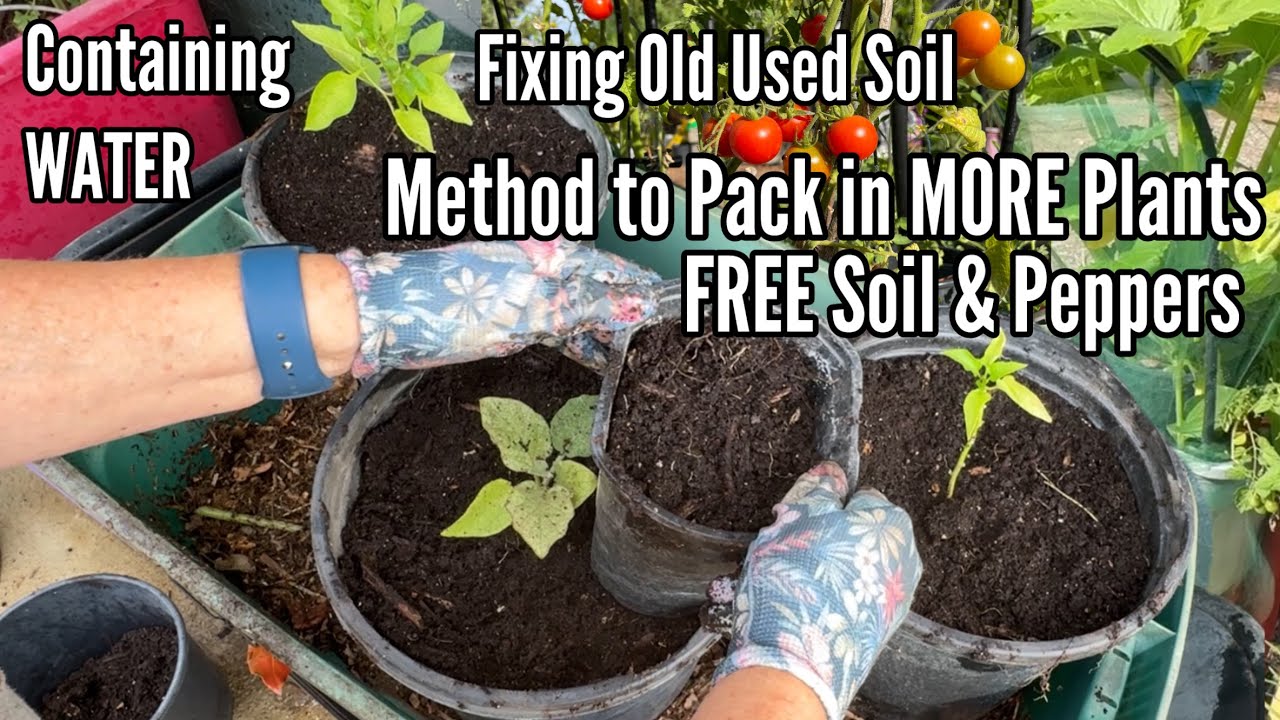 Creating FREE Soil & Plants GROWING More in Small Container Garden & Methods to Revitalize OLD Soil