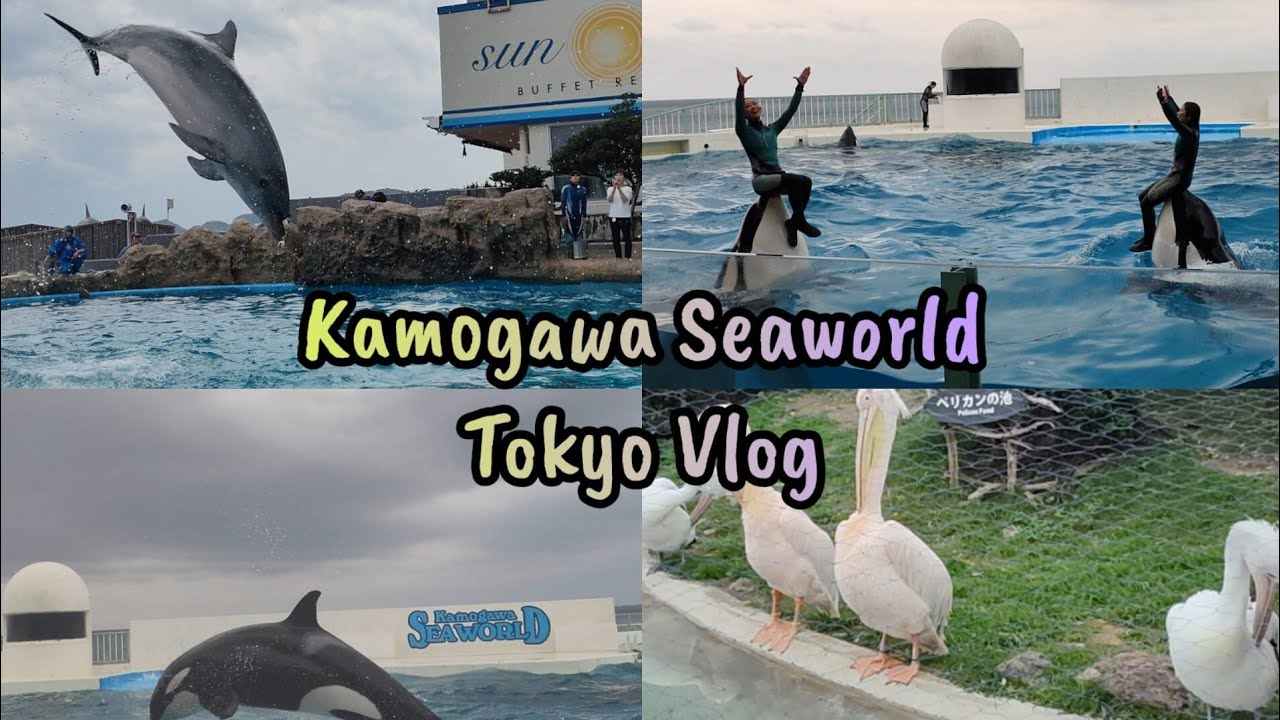 kamogawa Seaworld Tokyo Vlog