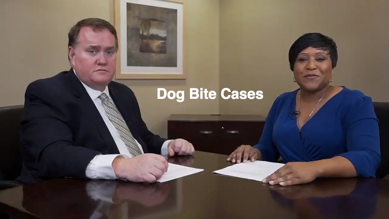 Information on Dog Bite Cases: Personal Injury Attorney Illinois