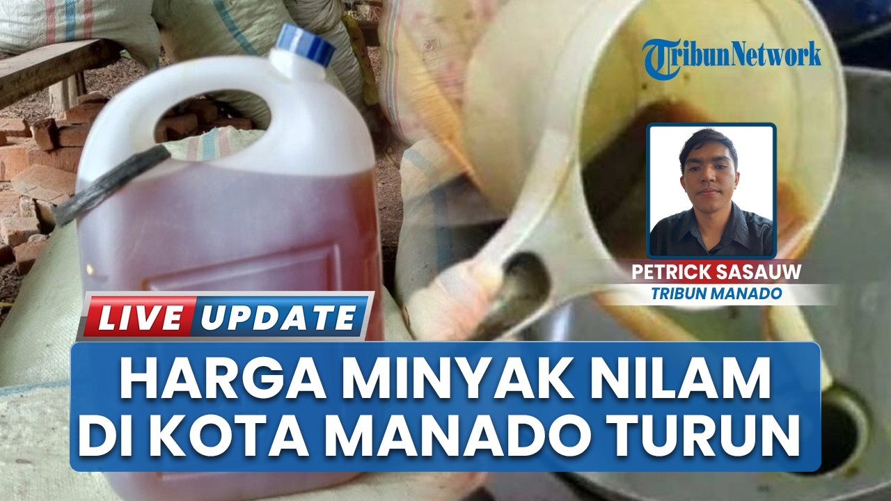 Update Harga Minyak Nilam di Kota Manado Turun Jadi Rp660 Ribu per Kilogram