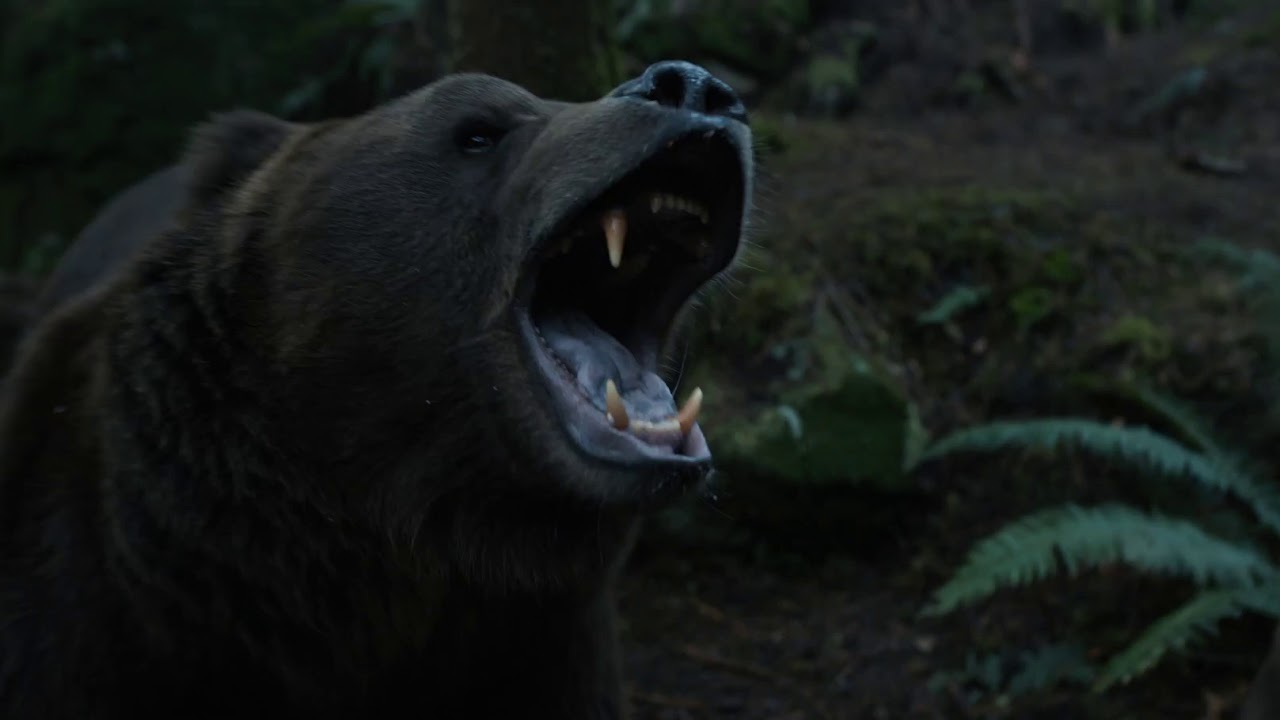 Baba Voss fight the bear |See S01E02 | Best Scene!!!