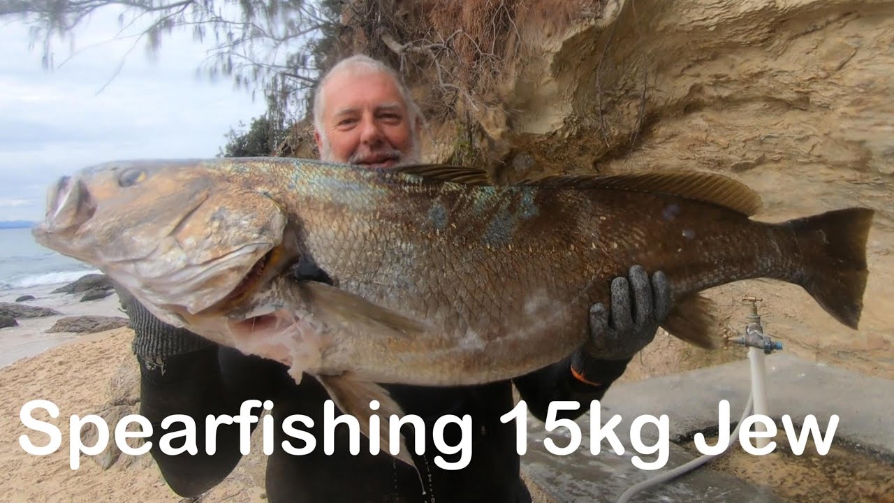 Spearfishing 15kg Jewfish