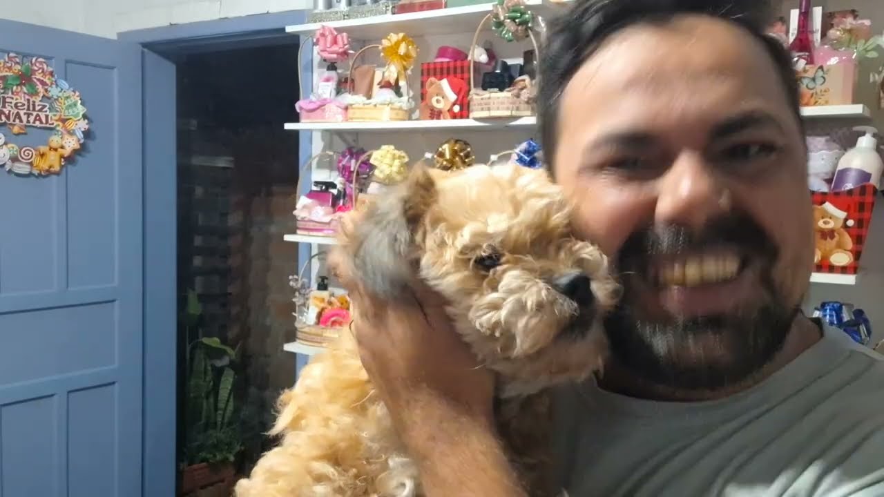Tour pela loja antes do Natal .
