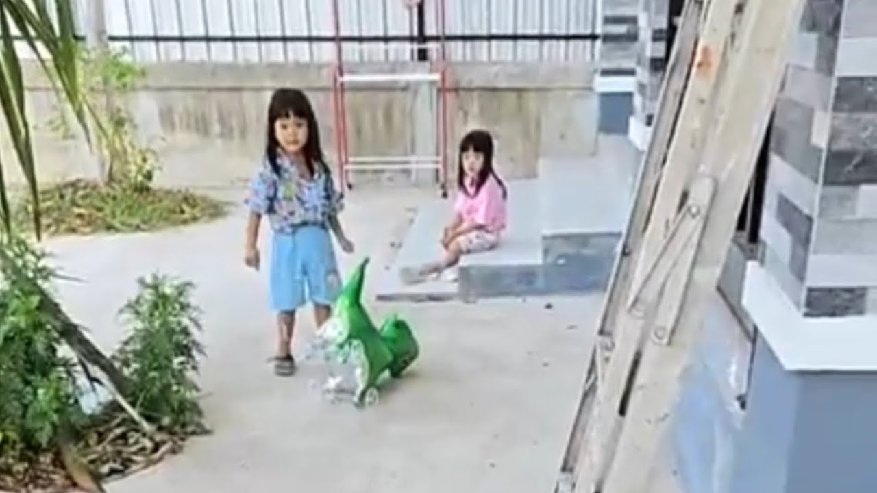 น้องเพชรน้องพลอยมาทักทายตอนเช้าจ้า