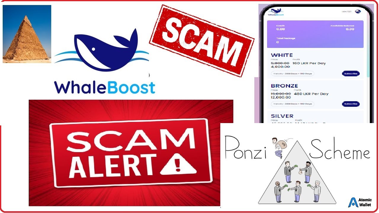 WhaleBoost Scam  !!!! ⚠️ ⚠️ ⚠️ | WhaleBoost Scam Alert Beware !!!! ⚠️ | WhaleBoost Review Sinhala