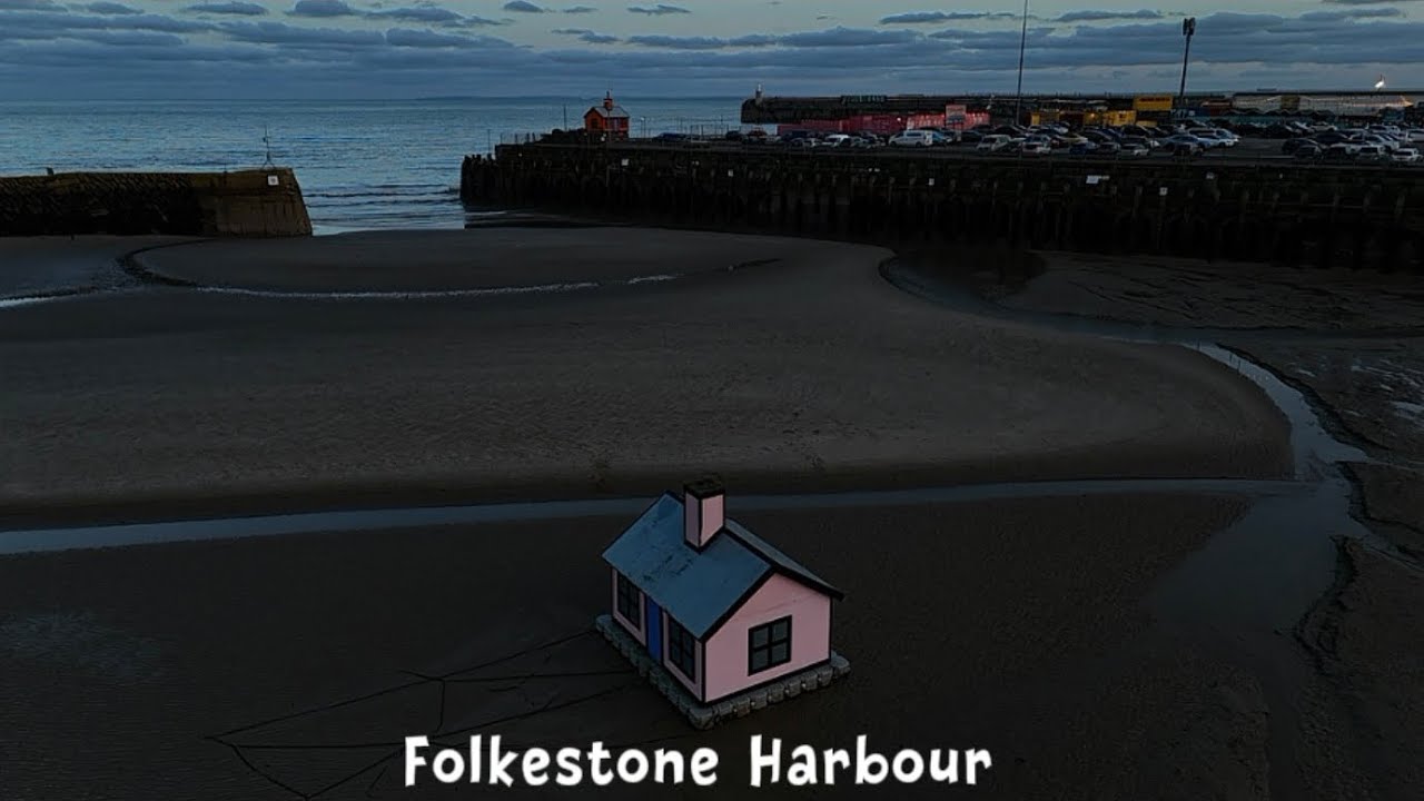 Folkestone Harbour - Low Tide & a Seal 🦭 #dronefootage #folkestone #sealife 