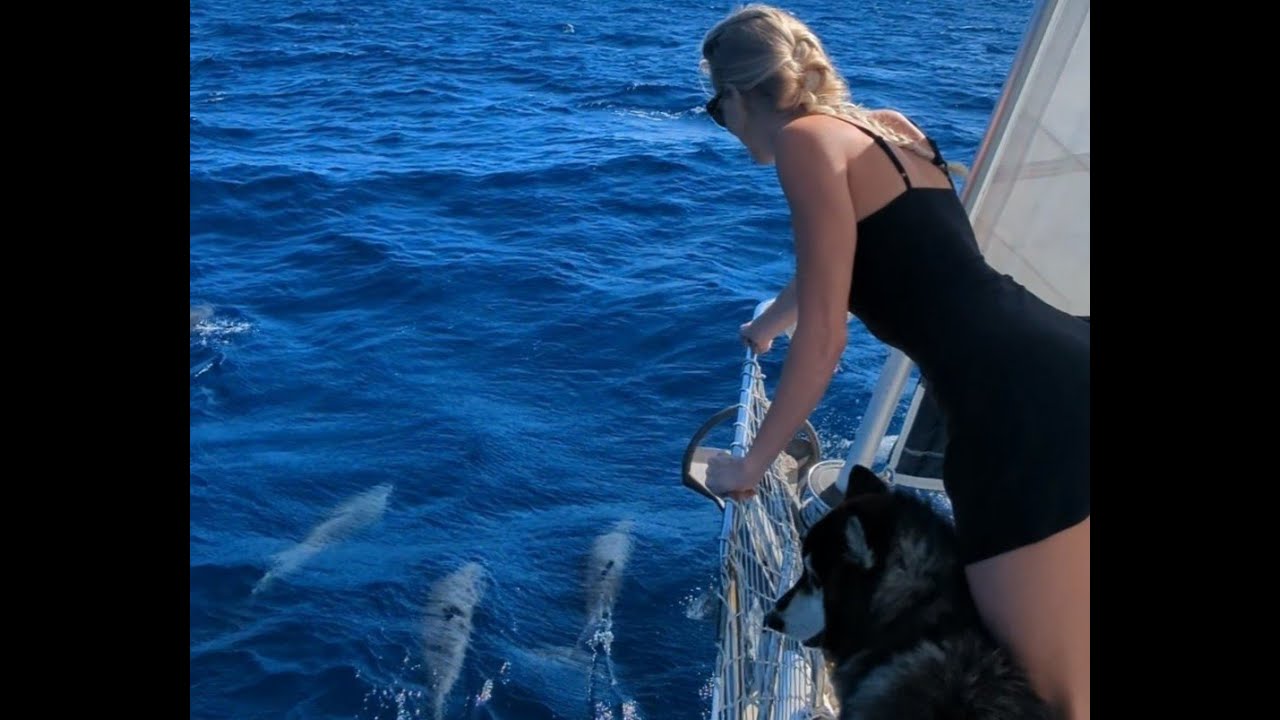 Sailing Vessel Just Friends: Cape Canaveral, FL, to Freeport, Bahamas!