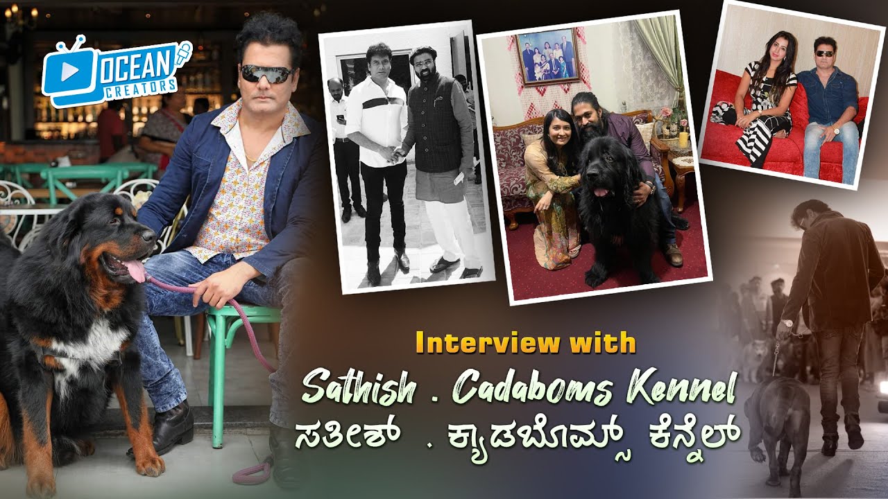 most expensive celebrity dog breeder |  Interview With Satish Cadaboms Kennel in Kannada