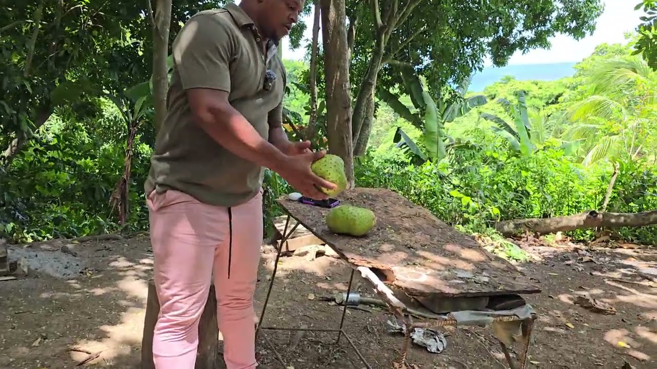 First time back in the countryside | Jamaica