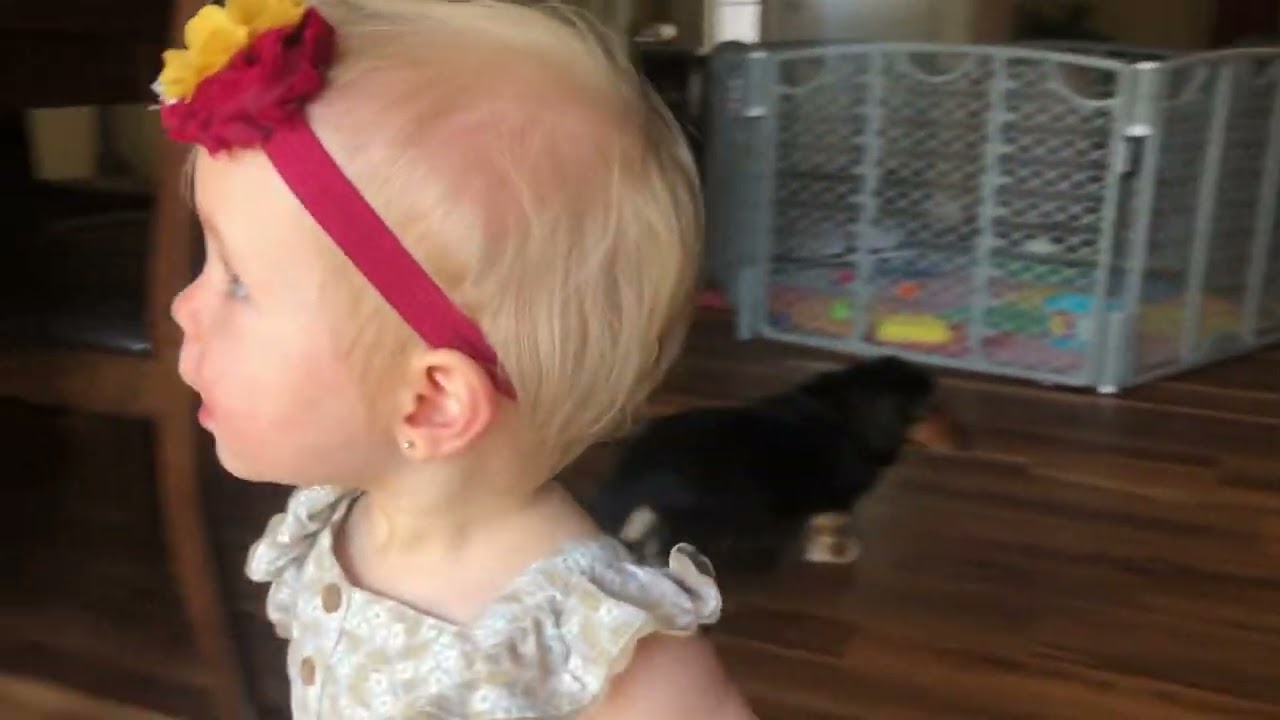 Hide N Seek with Lily! Watch her reaction! So cute!
