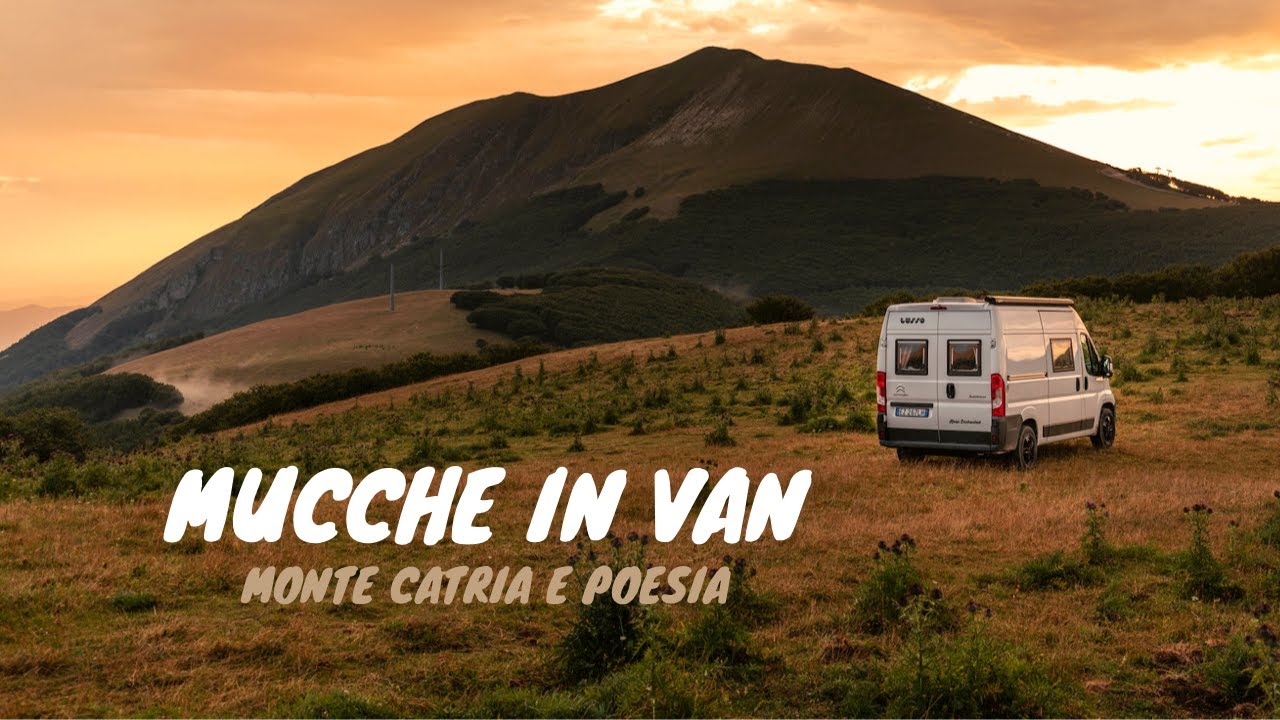MUCCHE IN VAN | MONTE CATRIA E POESIA