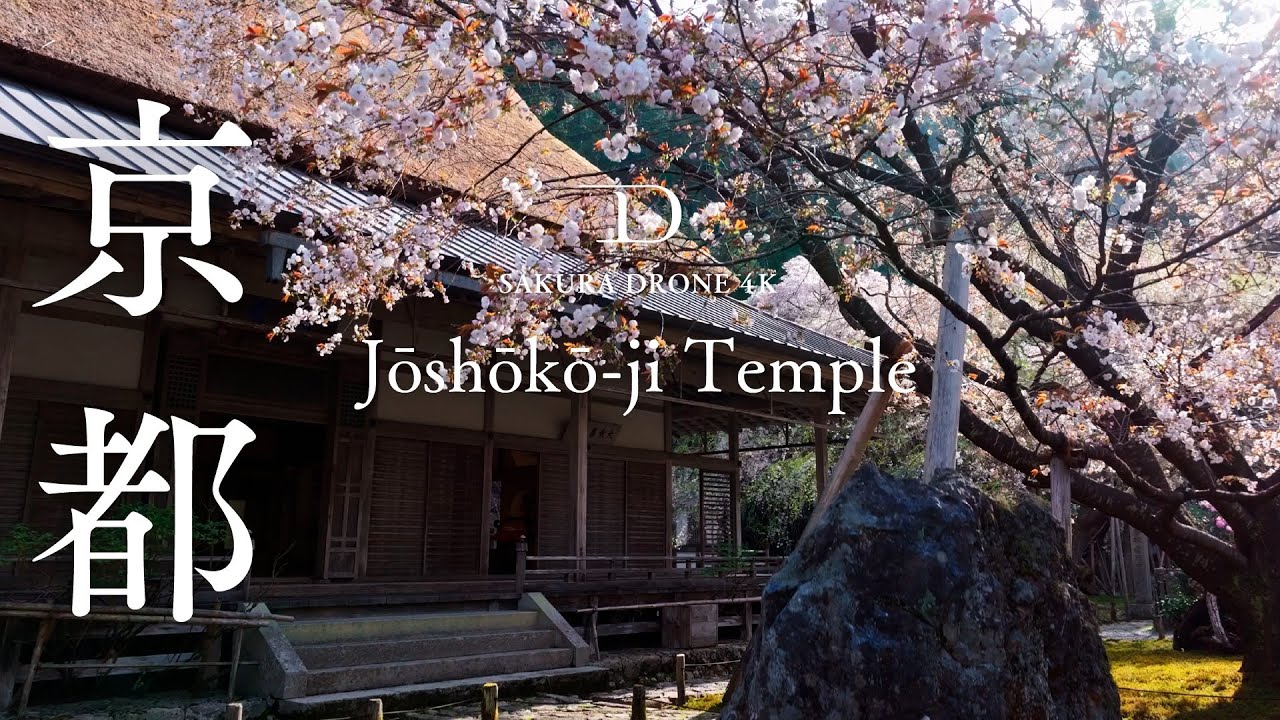 [SAKURA DRONE] ｜京都京北 常照皇寺（Jōshōkō-ji Temple）｜桜ドローンプロジェクト 4K