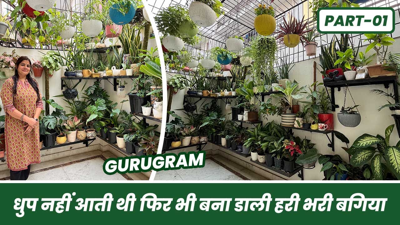 धूप नहीं आती थी, फिर भी बना डाली हरी भरी बगिया 😱🪴 Low Sunlight Garden Tour 🌱 Part-01