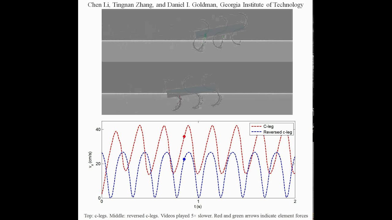 Legged Robot Running on Granular Media - Simulation