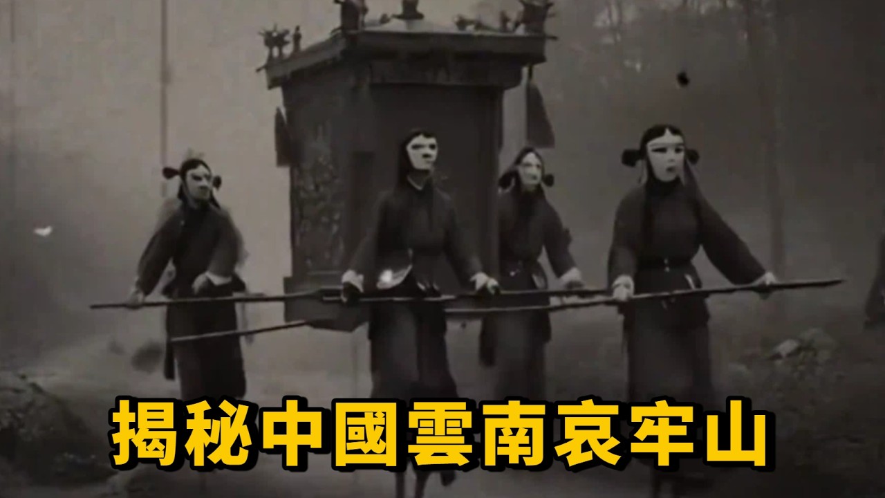 72小時揭秘中國雲南蟲谷哀牢山！深山迷霧覆蓋能見度不足1米，遍佈毒蟲和未知生物 #洞穴探險 #神奇大自然#冒險 #戶外 #洞穴探險 #探險