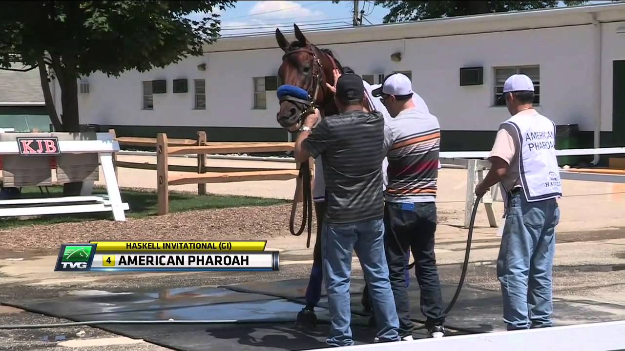 American Pharoah Brings Crowd to Monmouth Park
