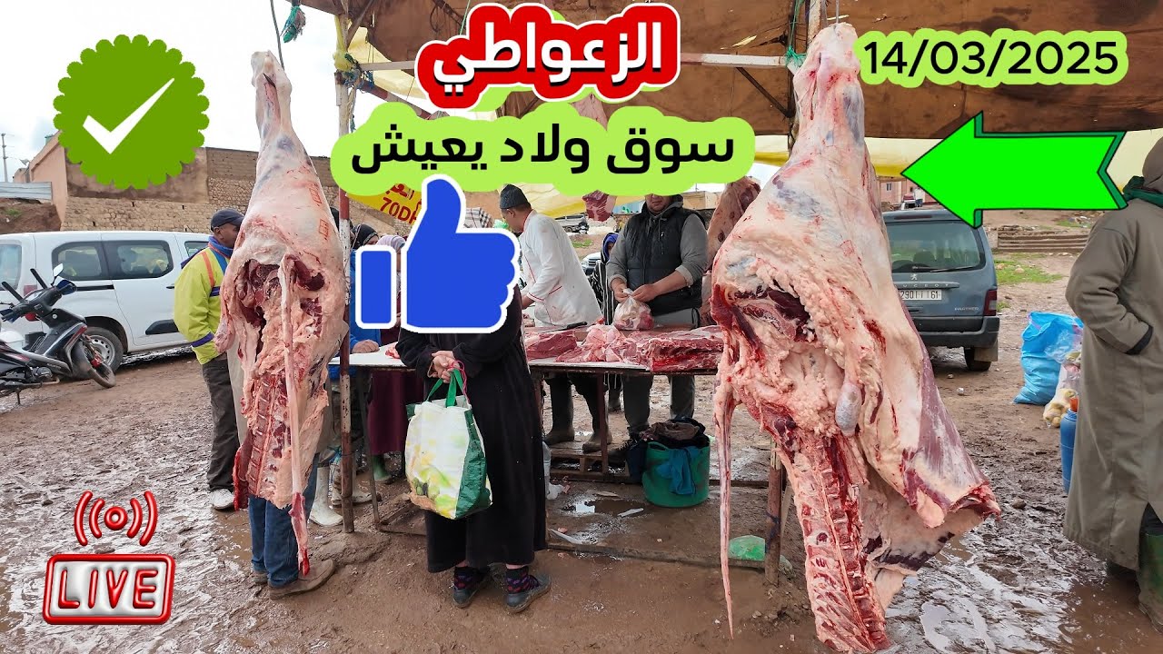 الزعواطي رجع البلاكة 70dh اللحم البقريمن سوق ولاد يعيش بني ملال 14/03/2025#اكسبلور